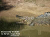 Hartley crocodile farm